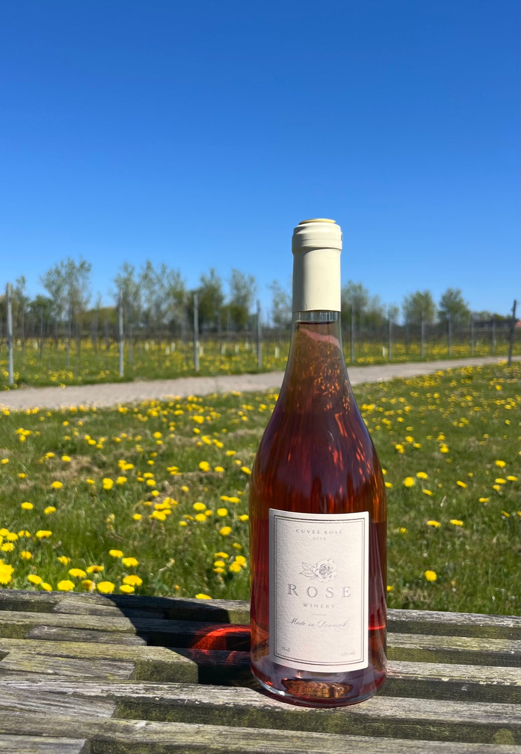 Rose Winery